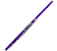 flauto traverso Flauto A 16 Fori C Chiave E Chiave A Foro Chiuso Flauto Blu Viola Ciano Per Principianti(Purple)