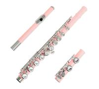 flauto traverso Flauto A 16 Fori Chiusi Chiave C Flauto D'argento Professionale Strumento Da Concerto Scatola Per Flauto Parti Di Guanti In Stoffa(Pink)