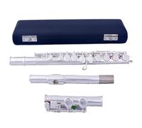 Flauto traverso flauto per principianti Risposta eccellente 16 tasti C chiusi Flauto per mano sinistra placcato in cupronichel argentato con tasti E