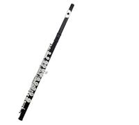 flauto traverso Flauto Traverso Professionale A 16 Fori Aperti Chiusi In Chiave C Con Scatola In Pelle Per Principianti Per Strumenti A Fiato In Chiave E(Black)