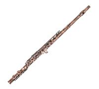 Flauto Traverso Flauto Traverso Professionale Con 16 Fori Chiusi Chiave In Do Con Scatola Guanti Strumento Musicale Da Concerto(B)