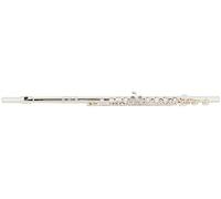 Flauto Traverso Lechgold FL-19/2 - Flauto Traverso Argentato con Piede in C - Interamente in Nichelargento - Chiavi Chiuse - Include Custodia, Borsa e Bastoncino per Pulizia