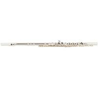 Flauto Traverso Lechgold FL-19/2R - Flauto Traverso Argentato con Piede in C - Completamente in Neusilber - Chiavi ad Anello con Tappi - Include Custodia, Borsa e Bastoncino per la Pulizia