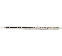 Flauto Traverso Lechgold FL-19/3 - Argentato con Piede in C, Bocchino in Argento 925, Testa e Corpo in Nichelargento, Chiavi Chiuse. Include Custodia, Borsa e Bastoncino Pulizia.
