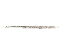 Flauto Traverso Lechgold FL-19/4 - Argentato, piede in C, bocchino e testa in argento 925, corpo in nichelina, chiavi chiuse. Include custodia, borsa e bastoncino pulizia.
