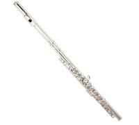 Flauto Traverso Professionale Con 16 Fori Chiusi E Aperti Chiave C Strumento Musicale Da Concerto Con Scatola Guanto E Bastone In Tessuto