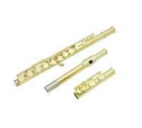 Flauto Traverso Professionale Con 16 Fori Chiusi E Aperti Chiave C Strumento Musicale Da Concerto Suono Standard(Gold)