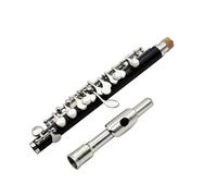 Flauto Traverso Strumenti Chiave C Piccolo Flauto A Mezza Misura In Bachelite Nero Argento Chiave Piccolo Con Custodia Imbottita E Accessori