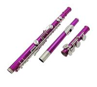Flauto Traverso Strumenti Flauto A 16 Fori Con Chiave C A Foro Chiuso Corpo Colorato In Rosa Rosa Tasti Placcati In Argento Flauto Con Custodia Per Il Trasporto