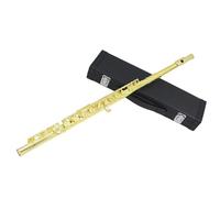 Flauto Traverso Strumenti Flauto A 16 Fori Strumento A Fiato Foro Chiuso Tasto E Flauto Da Concerto Con Scatola E Accessori (Color : 02)