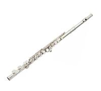 Flauto Traverso Strumenti Flauto A 16 Tasti A Foro Aperto E Chiuso, Chiave C Placcata In Argento In Rame Bianco, Studente Adulto Che Suona Il Flauto