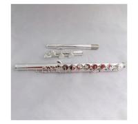 Flauto Traverso Strumenti Flauto Contralto A 16 Fori Chiusi Flauti In Cupronichel Placcati Argento In Linea G-Pitch Flauto Con Custodia Per Flauti
