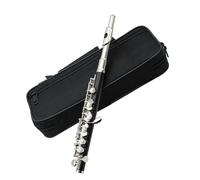 Flauto Traverso Strumenti Piccolo Flauto A 16 Tasti Di Mezza Misura Chiave C In Cupronichel Placcato Argento Con Custodia Piccolo