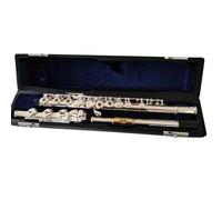 Flauto Traverso Strumenti Strumento Per Flauto Tono C A 17 Fori Aperto Boccaglio Dorato Flauto Con Superficie Placcata Argento Con Custodia