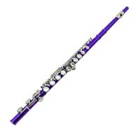 flauto traverso Strumento da gioco per principianti a 16 fori C chiave E chiave foro chiuso flauto colore viola flauto per principianti