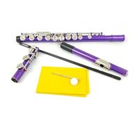 Flauto Viola 16 Fori Foro Chiuso Chiave C Nichel Placcato Rame Bianco Con Chiave E Strumento Flauto Flauto Traverso per Principiante