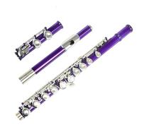 Flauto Viola A 16 Fori Tono C Con Foro Chiuso, Chiave In Argento, Flauto In Cupronichel Con Accessori Per Flauto Flauto Traverso per Principiante