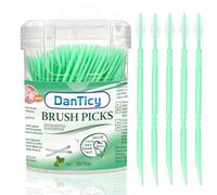Flavored Toothpicks Mint for Fresh Breath, BPA Free Plastic Toothpicks, Portable Menta Toothpicks for Oral Care, 300 conteggi