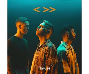 Flawes One Step Back, Two Steps Forward (Vinyl LP)