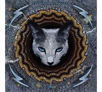 Flawless by Electrosoul System