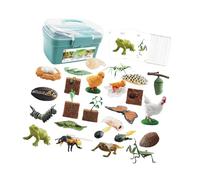 FLCPJGV Giocattolo Del Degli Animali, Figure Del Ciclo di Crescita Degli Animali, Sussidi Didattici, Scienza Educativa per Giochi di Ruolo, Narr, scatola blu, Taglia unica bambino