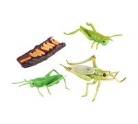 FLCPJGV Set di Della Locusta, Modello di Fase di Crescita, Sussidi Didattici, Set di Ciclo di Crescita in Classe, Figurine per Bambini E Bambine
