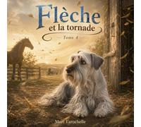 Flèche et la tornade