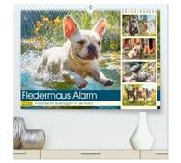 Fledermaus Alarm. Französiche Bulldoggen in der Natur (hochwertiger Premium Wandkalender 2026 DIN A2 quer), Kunstdruck in Hochglanz: Wanderlustige ... mit Charme und Pfotenpower die Bergwelt