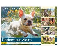 Fledermaus Alarm. Französiche Bulldoggen in der Natur (Tischkalender 2026 DIN A5 quer), CALVENDO Monatskalender: Wanderlustige Frenchies erobern mit Charme und Pfotenpower die Bergwelt