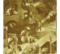 Fleet Foxes First Collection 2006-2009 (CD)