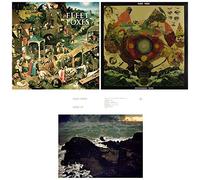 Fleet Foxes - Fleet Foxes: Complete Studio Album Discography Collection - 3 Audio (Self-Titled / He lessness Blues / Crack-Up)