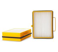 FLEETGUARD AF25829 Filtro, Aria abitacolo per SCANIA