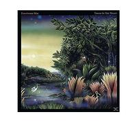 - Fleetwood Mac - Tango In The Night (LP) - Vinile