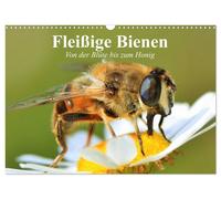 Fleißige Bienen. Von der Blüte bis zum Honig (Wandkalender 2027 DIN A3 quer), CA