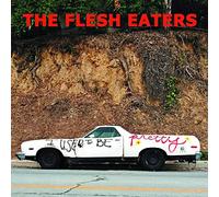 Flesh Eaters The - I Used To Be Pretty