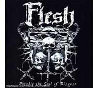 Flesh - Worship The Soul Of Disco