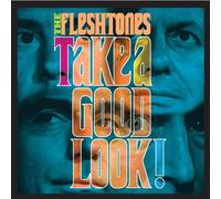 The Fleshtones Take a Good Look (CD) Album