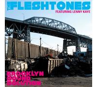 Fleshtones The - Brooklyn Sound Solution