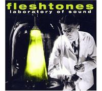 Fleshtones,the - Laboratory of Sound