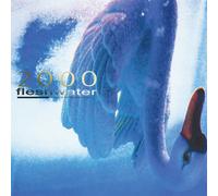 Fleshwater 2000: In Search of the Endless Sky (Vinyl LP)