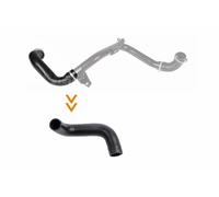 Flessibile aria alimentazione Intercooler per FORD VOLVO C-MAX C30 FOCUS FOCUS C