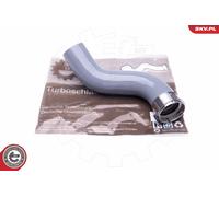 Flessibile aria alimentazione per DACIA RENAULT CLIO DOKKER DUSTER LODGY