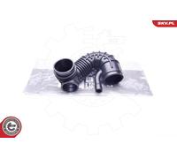 Flessibile d'aspirazione, Filtro aria per LAND ROVER FREELANDER