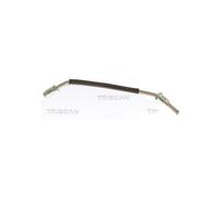 Flessibile Del Freno 170 MM M10x1 & M10x1 TRISCAN per U.a. Hyundai