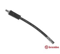 Brembo T 85 066 - Tubo Freno - Posteriore