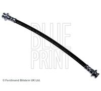Flessibile del freno Assale posteriore Sx per NISSAN MICRA MICRA C+C NOTE
