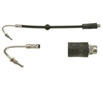 Flessibile del freno Assale posteriore Sx per RENAULT KANGOO