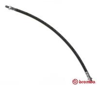 Flessibile del freno BREMBO T 50 010