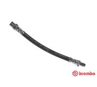 Tubo flessibile freno T 85 118 BREMBO per AUDI A6 C4 A6 C4 Avant