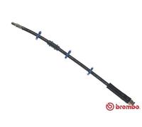 Flessibile del freno interno per ALFA ROMEO CITROËN FIAT PEUGEOT AR 6 C25 DUCATO